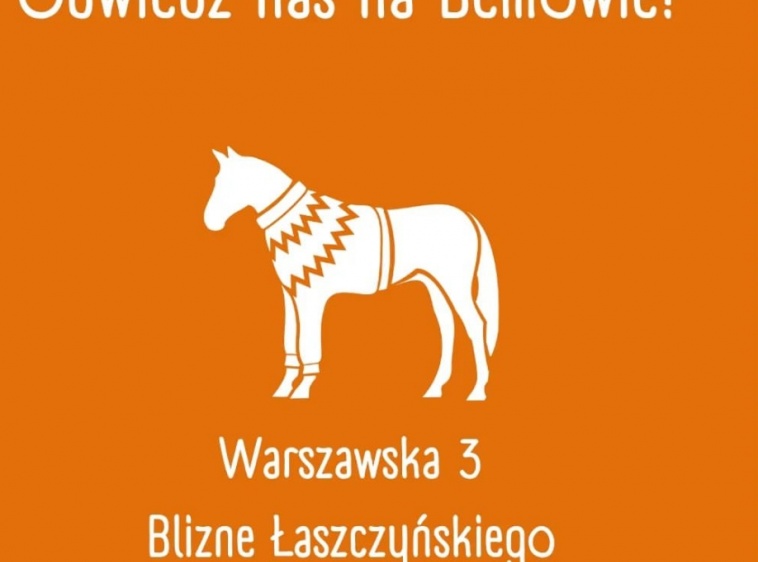 Koń w Swetrze  – sklep jeździecki 