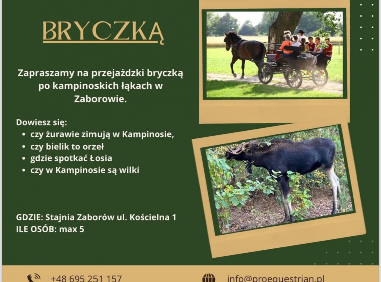 Przejażdżki bryczką 